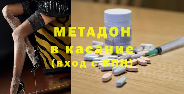 прущие грибы Вязники