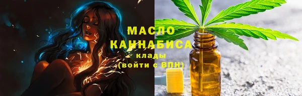 прущие грибы Вязники