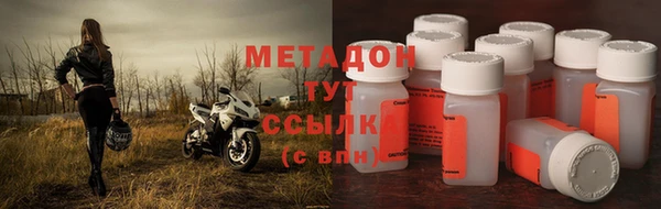 прущие грибы Вязники