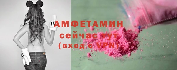 шишки Горнозаводск