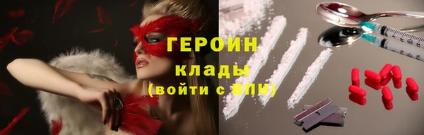 прущие грибы Вязники