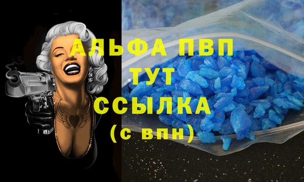 ПСИЛОЦИБИНОВЫЕ ГРИБЫ Вязьма