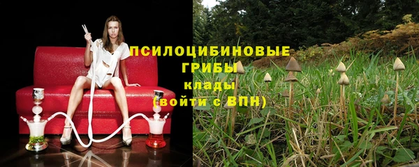 ПСИЛОЦИБИНОВЫЕ ГРИБЫ Вязьма