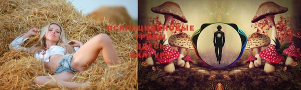 прущая мука Горняк