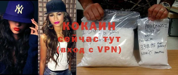 шишки Горнозаводск
